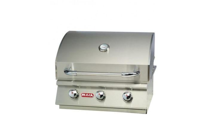 Bull Steer Premium 25-Inch - Image 2